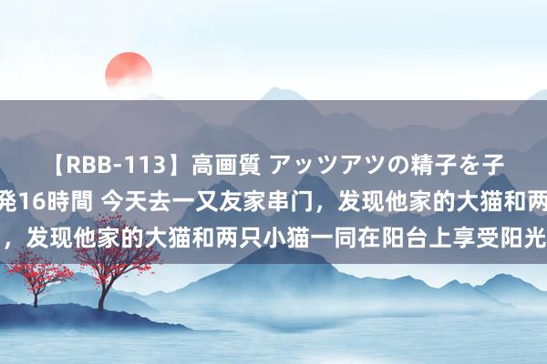 【RBB-113】高画質 アッツアツの精子を子宮に孕ませ中出し120発16時間 今天去一又友家串门，发现他家的大猫和两只小猫一同在阳台上享受阳光。基因