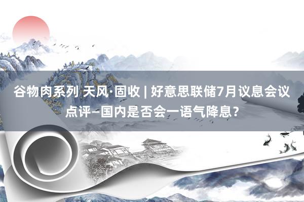 谷物肉系列 天风·固收 | 好意思联储7月议息会议点评—国内是否会一语气降息？