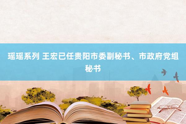 瑶瑶系列 王宏已任贵阳市委副秘书、市政府党组秘书