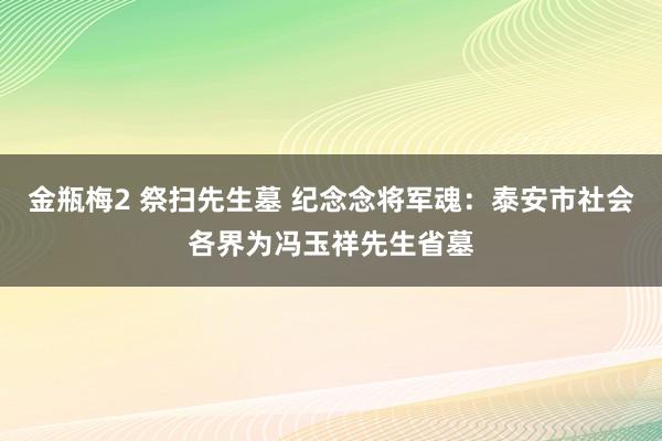 金瓶梅2 祭扫先生墓 纪念念将军魂：泰安市社会各界为冯玉祥先生省墓