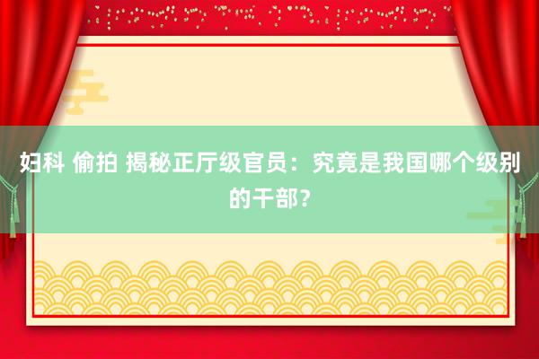 妇科 偷拍 揭秘正厅级官员：究竟是我国哪个级别的干部？