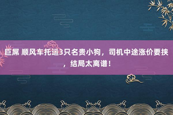 巨屌 顺风车托运3只名贵小狗，司机中途涨价要挟，结局太离谱！