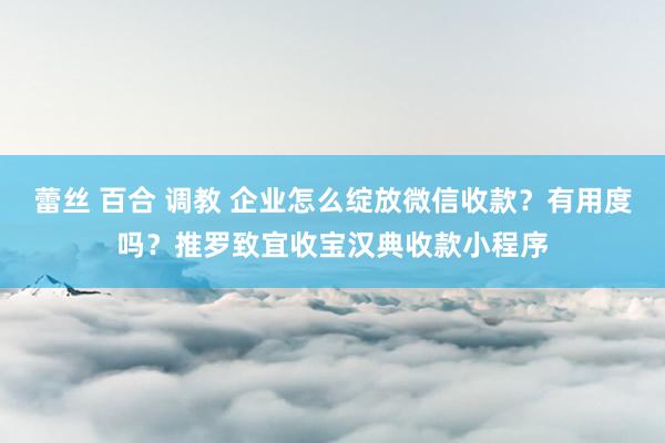 蕾丝 百合 调教 企业怎么绽放微信收款？有用度吗？推罗致宜收宝汉典收款小程序