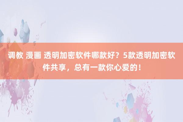 调教 漫画 透明加密软件哪款好？5款透明加密软件共享，总有一款你心爱的！