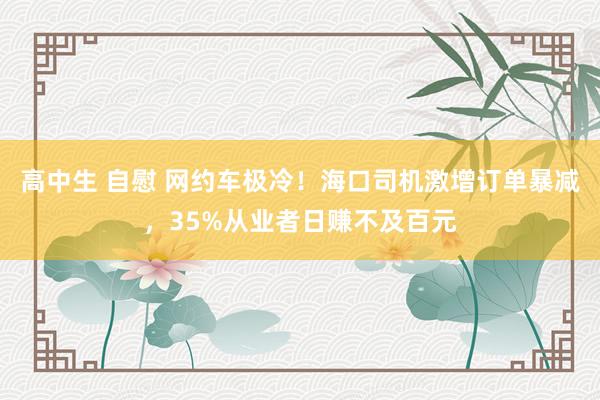高中生 自慰 网约车极冷！海口司机激增订单暴减，35%从业者日赚不及百元