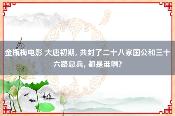 金瓶梅电影 大唐初期， 共封了二十八家国公和三十六路总兵， 都是谁啊?