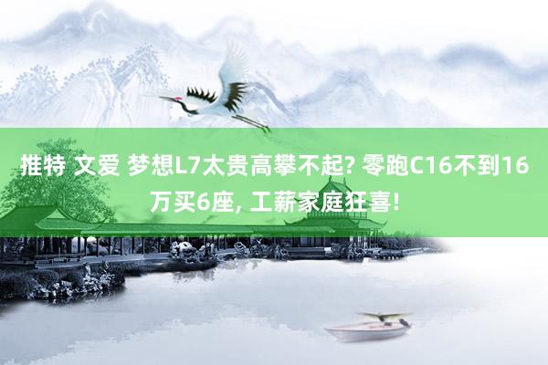 推特 文爱 梦想L7太贵高攀不起? 零跑C16不到16万买6座， 工薪家庭狂喜!