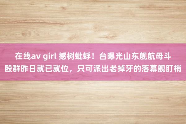 在线av girl 撼树蚍蜉！台曝光山东舰航母斗殴群昨日就已就位，只可派出老掉牙的落幕舰盯梢