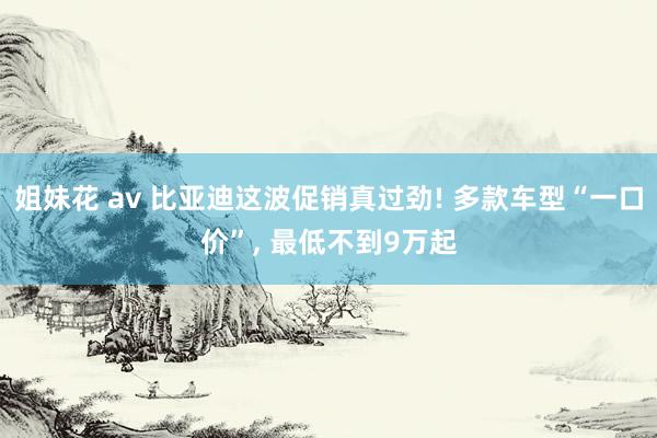 姐妹花 av 比亚迪这波促销真过劲! 多款车型“一口价”， 最低不到9万起