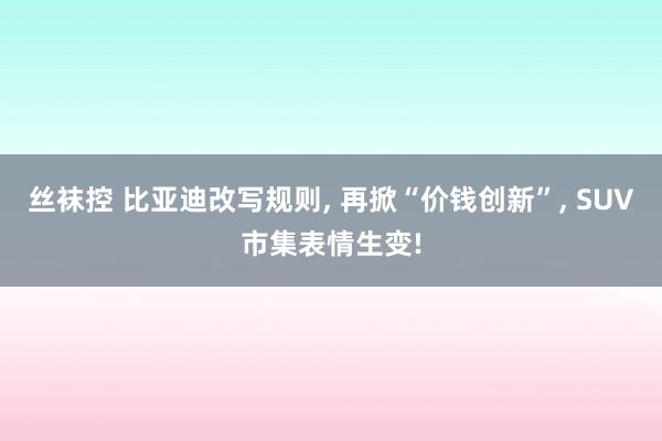 丝袜控 比亚迪改写规则， 再掀“价钱创新”， SUV市集表情生变!
