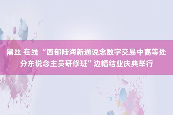 黑丝 在线 “西部陆海新通说念数字交易中高等处分东说念主员研修班”边幅结业庆典举行