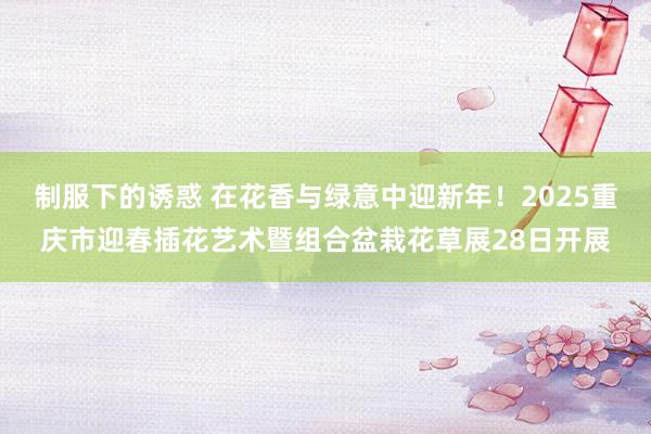 制服下的诱惑 在花香与绿意中迎新年！2025重庆市迎春插花艺术暨组合盆栽花草展28日开展