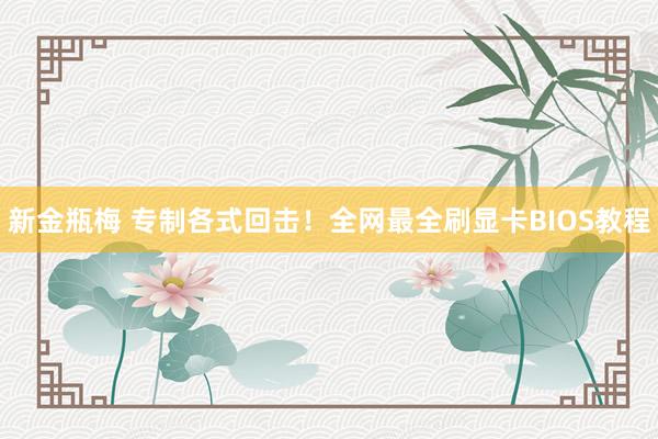 新金瓶梅 专制各式回击！全网最全刷显卡BIOS教程