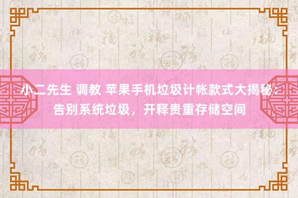 小二先生 调教 苹果手机垃圾计帐款式大揭秘：告别系统垃圾，开释贵重存储空间