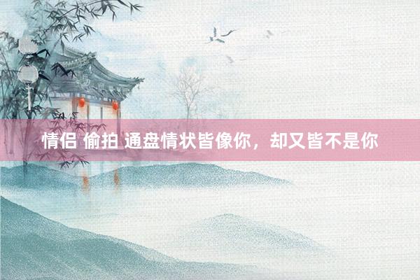 情侣 偷拍 通盘情状皆像你，却又皆不是你