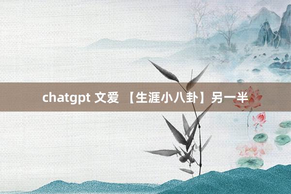 chatgpt 文爱 【生涯小八卦】另一半