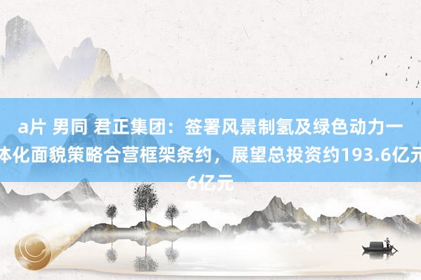 a片 男同 君正集团：签署风景制氢及绿色动力一体化面貌策略合营框架条约，展望总投资约193.6亿元